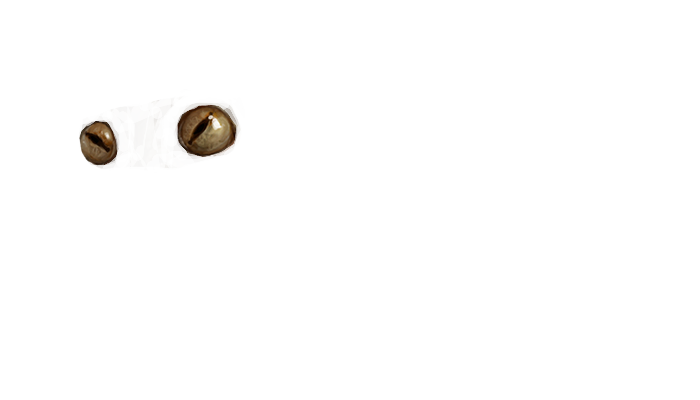 Character blinking